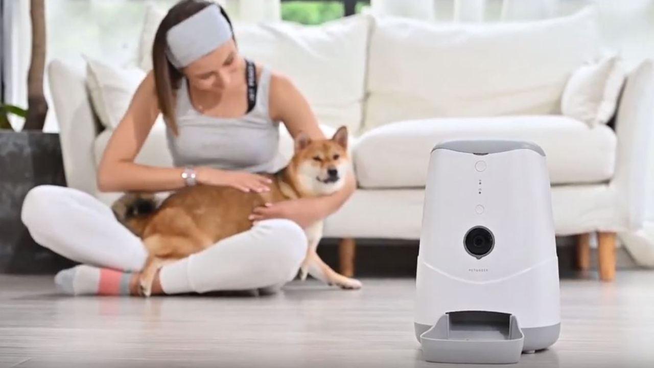 5 state of the art gadgets you didn't know your pet needed
